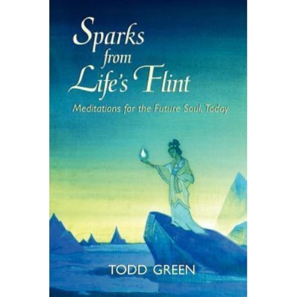 Sparks From Life's Flint--Meditations For The Future Soul, Today NEW